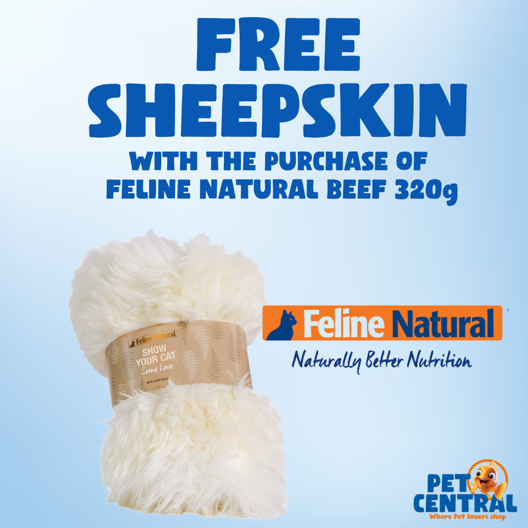 Feline Natural Beef 320g  *** FREE SHEEPSKIN ***