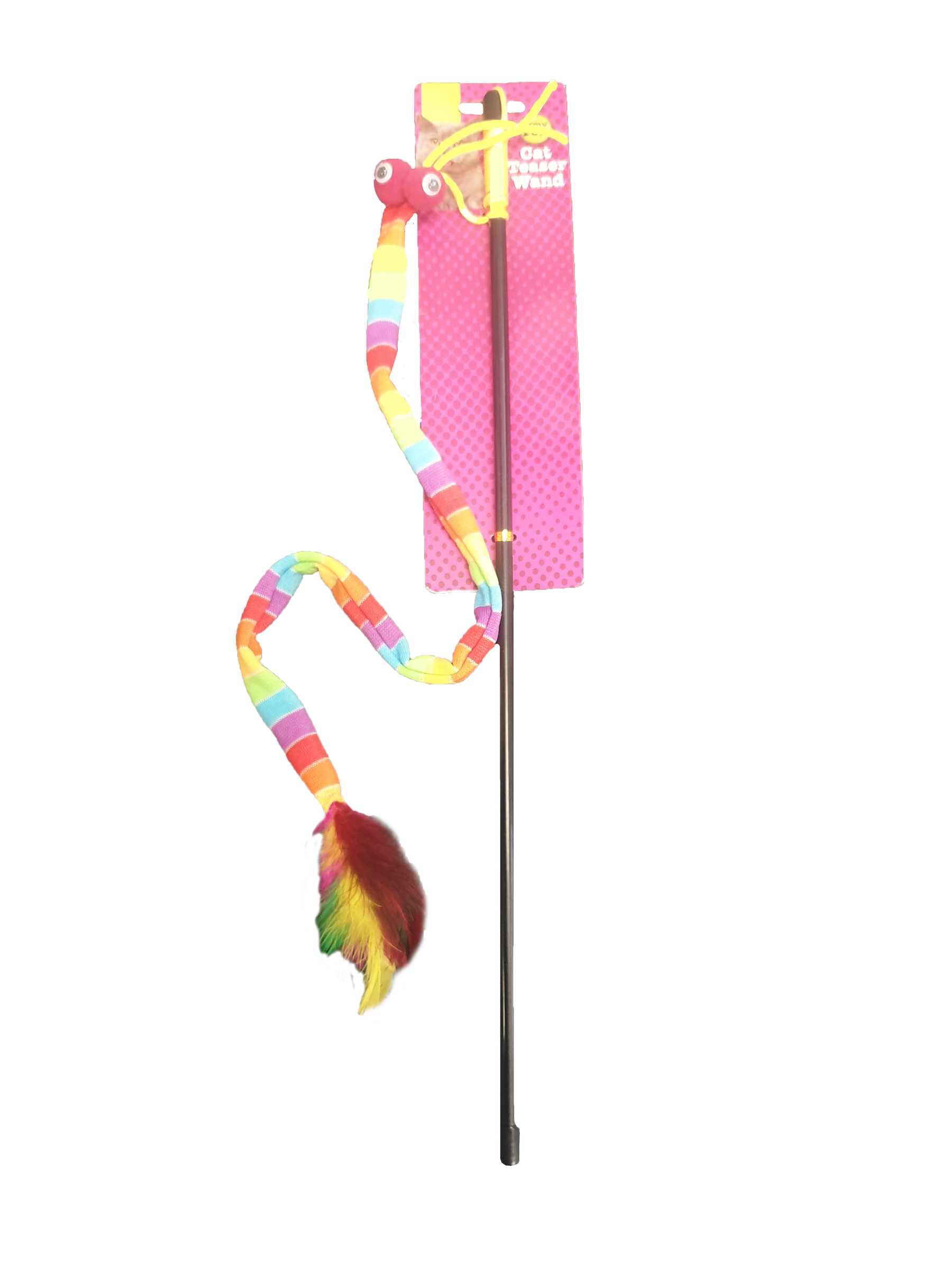 Cat Teaser Rainbow Wand