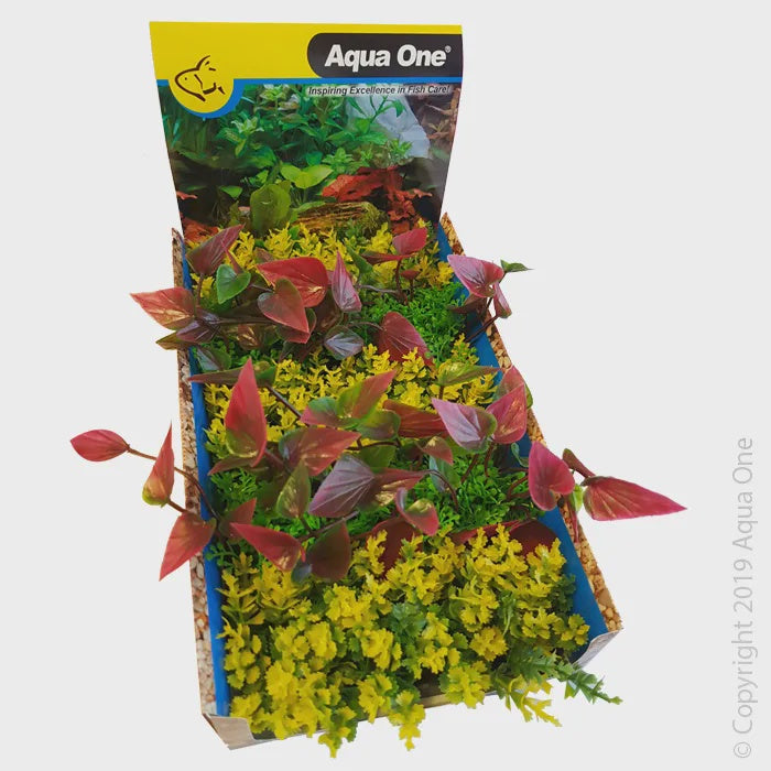 Ecoscape Foreground Catspaw Yl/lilly R Mix