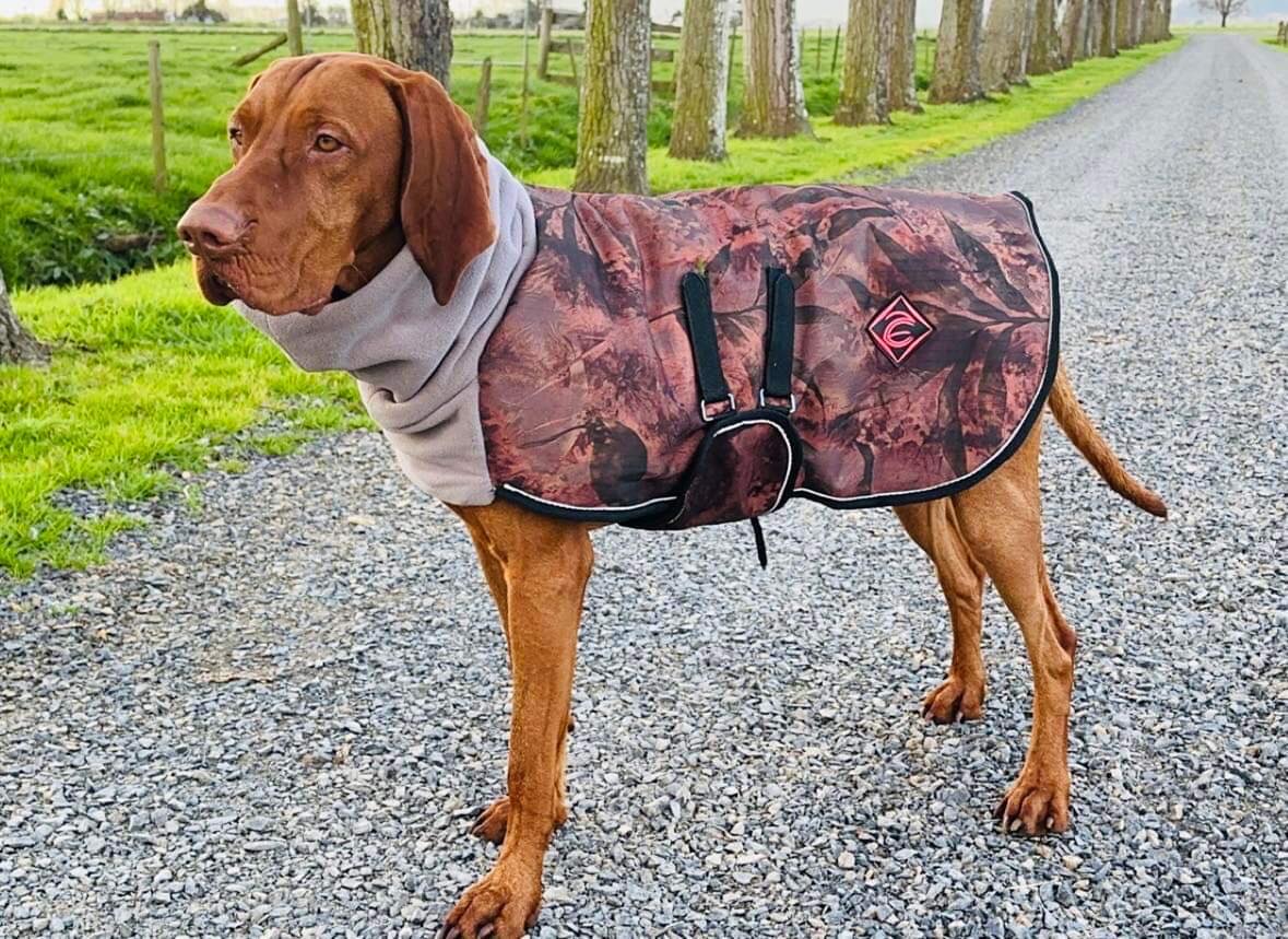 Cosy Dog Jacket