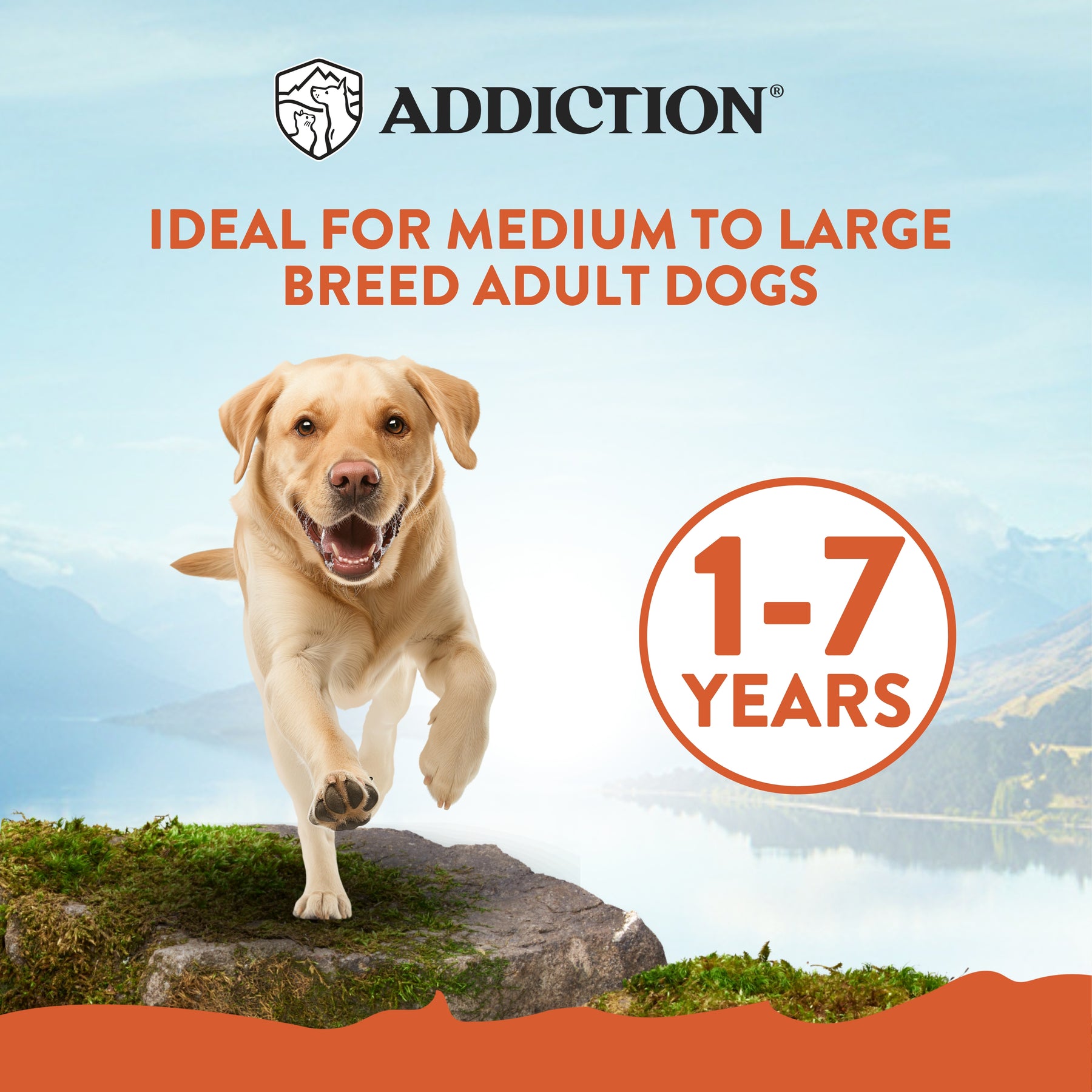Addiction Mega Chicken for Large Breed Adult