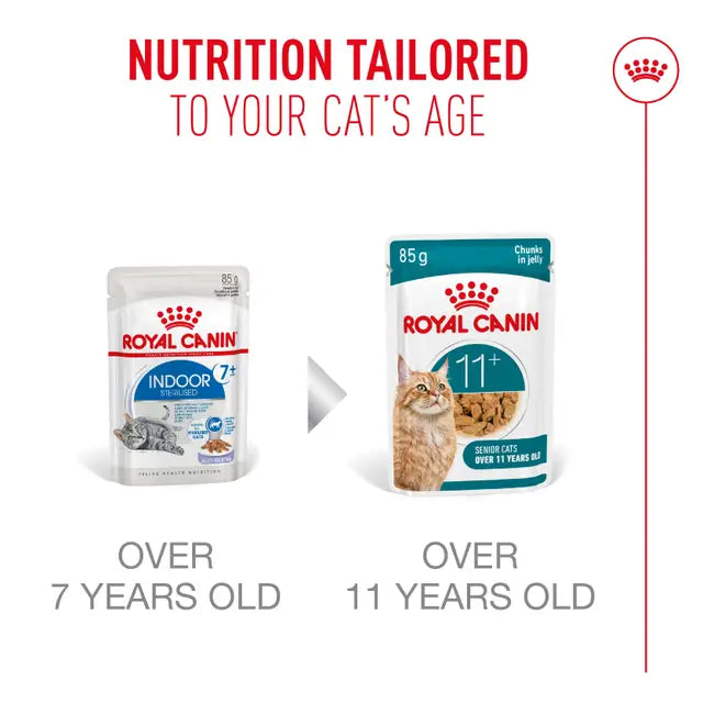 Royal Canin Ageing 11 plus Jelly Pouch