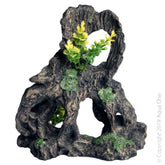 Aqua One Stump with Plant