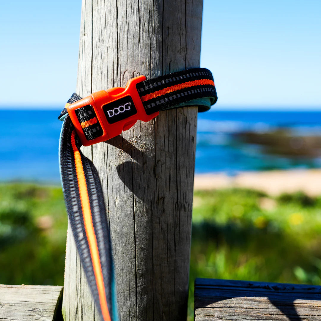 DOOG 'Clip It' Neoprene Dog Leash RTT