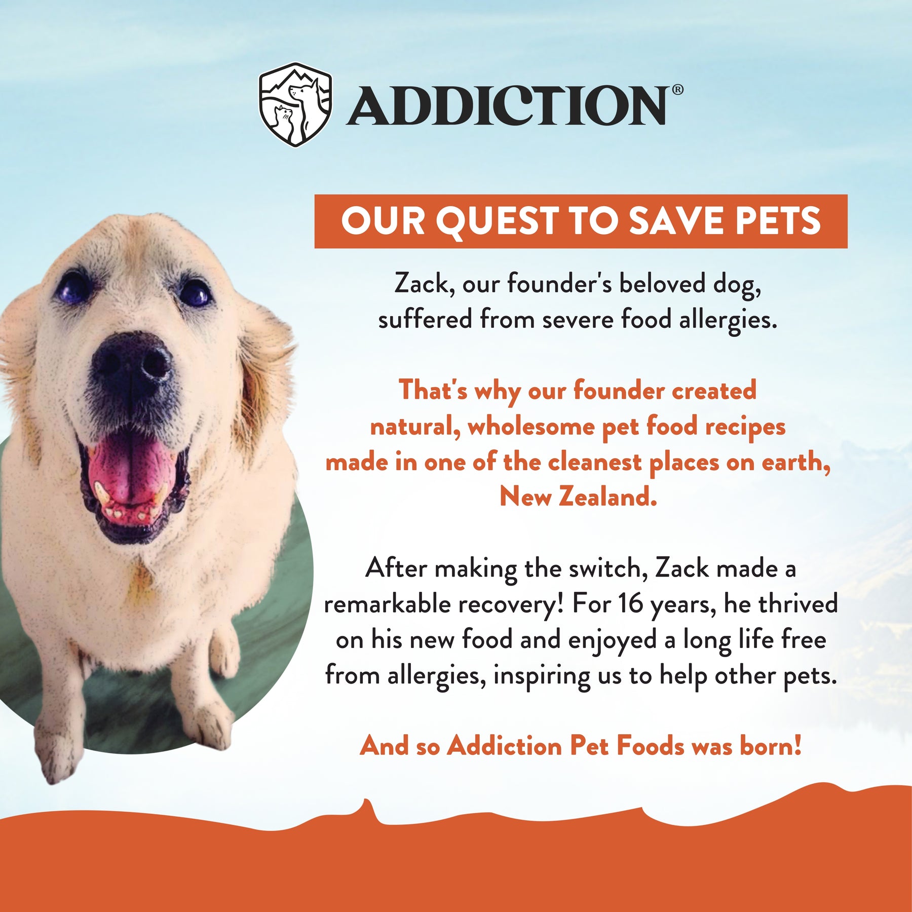 Addiction Mega Chicken for Large Breed Adult