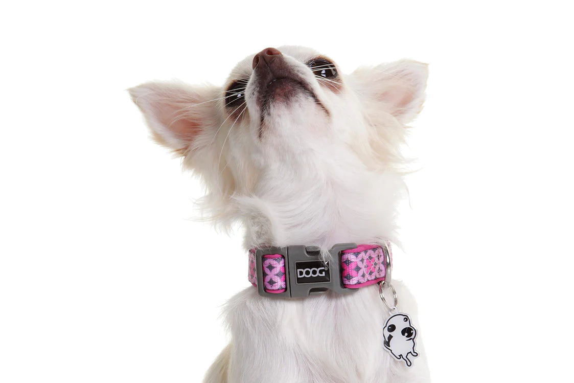 DOOG Neoprene Dog Collar Toto