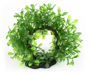 Aqua World Plant Bonsai Halo 15cm