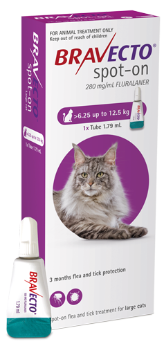 Bravecto Cat L 6.25-12.5KG