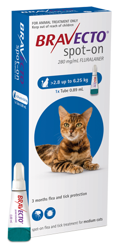 Bravecto Cat M 2.8-6.25KG