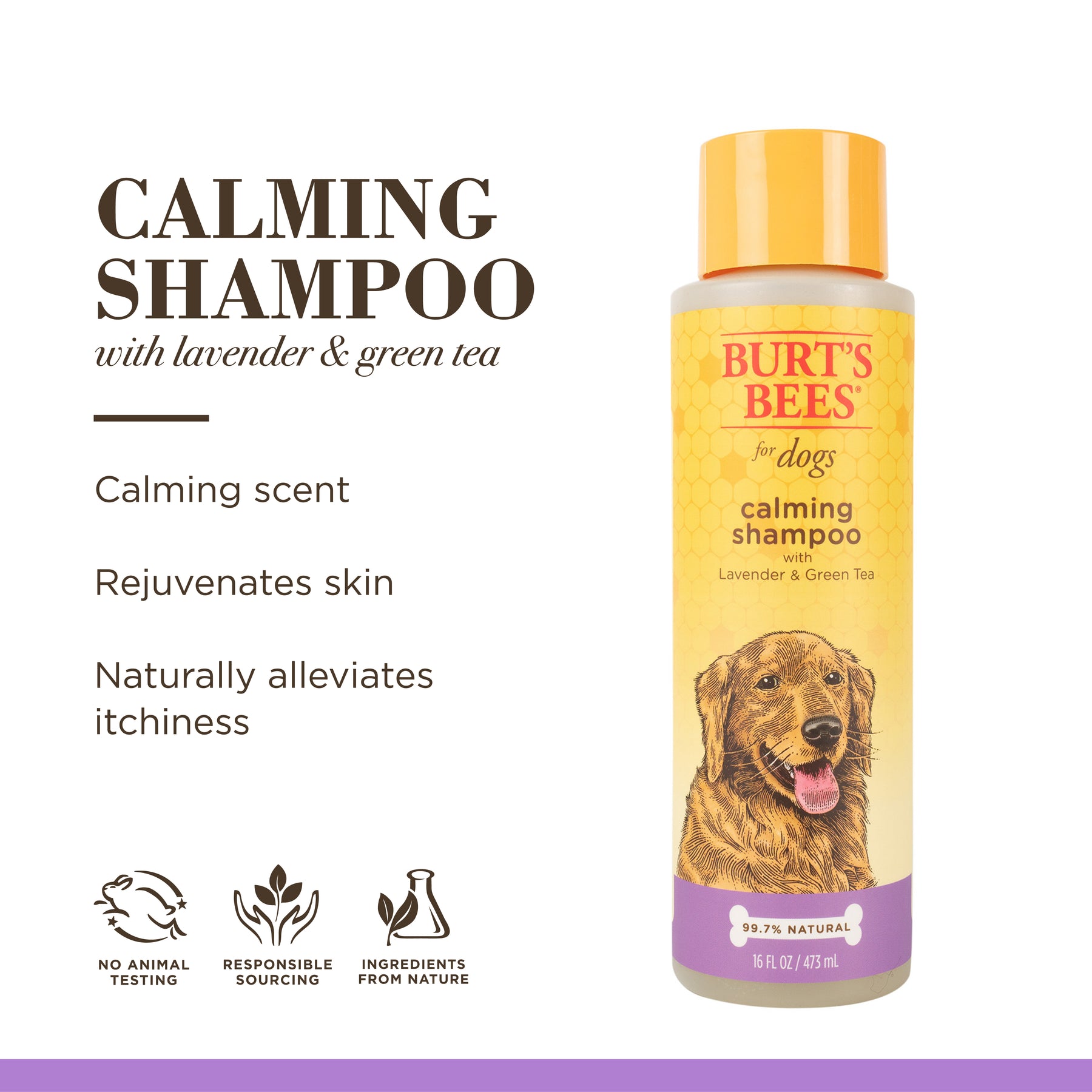 Burt's Bees Calming Shampoo 473ml