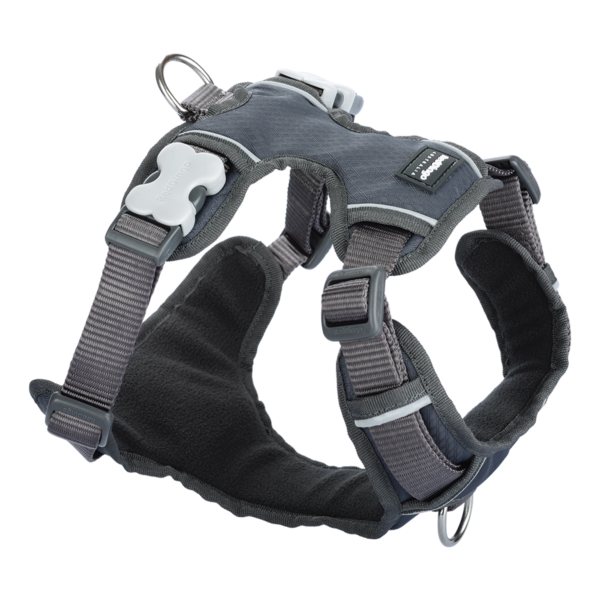 Red Dingo Padded Harness