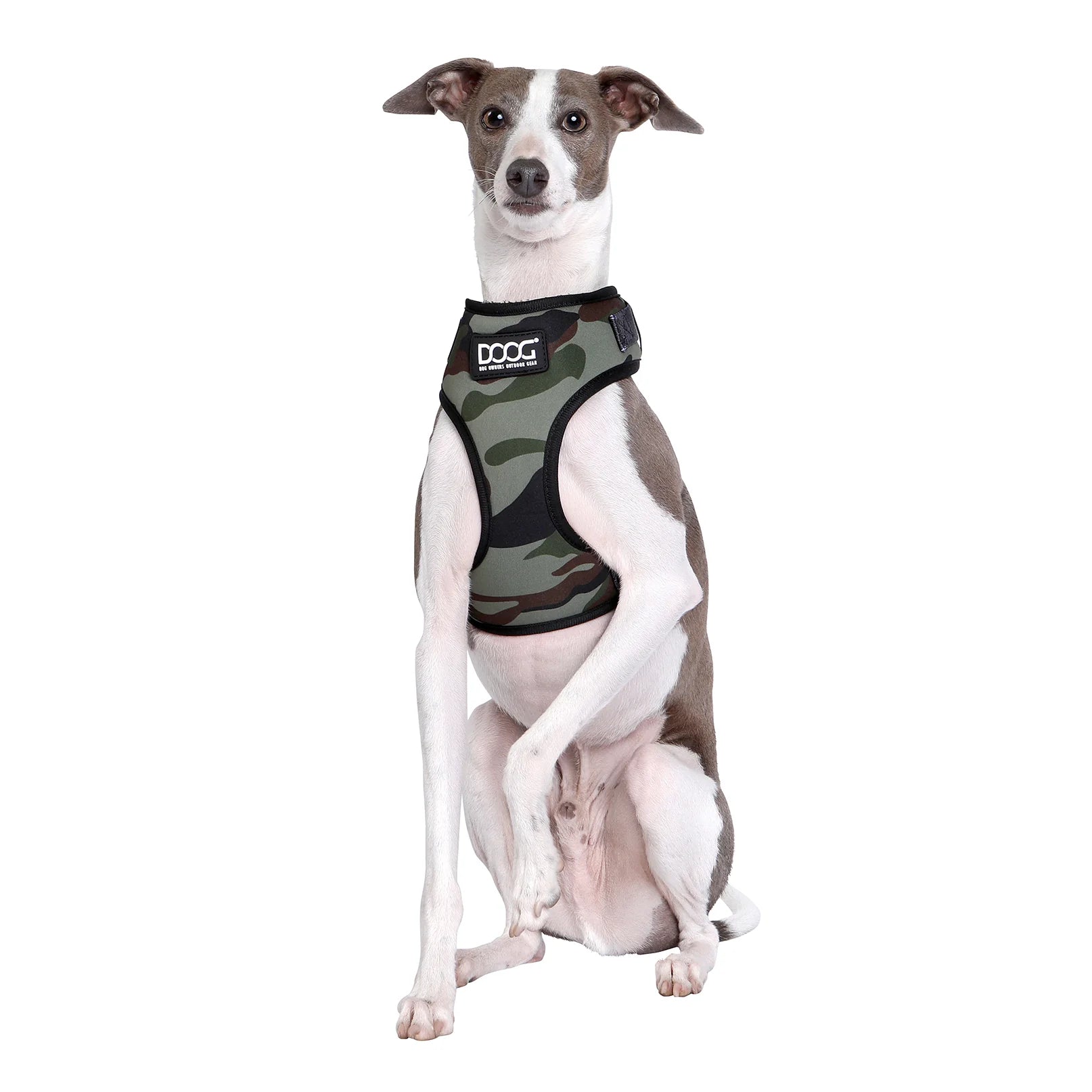 DOOG Neoflex Dog Harness Bruiser