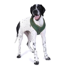 DOOG Neosport Dog Harness