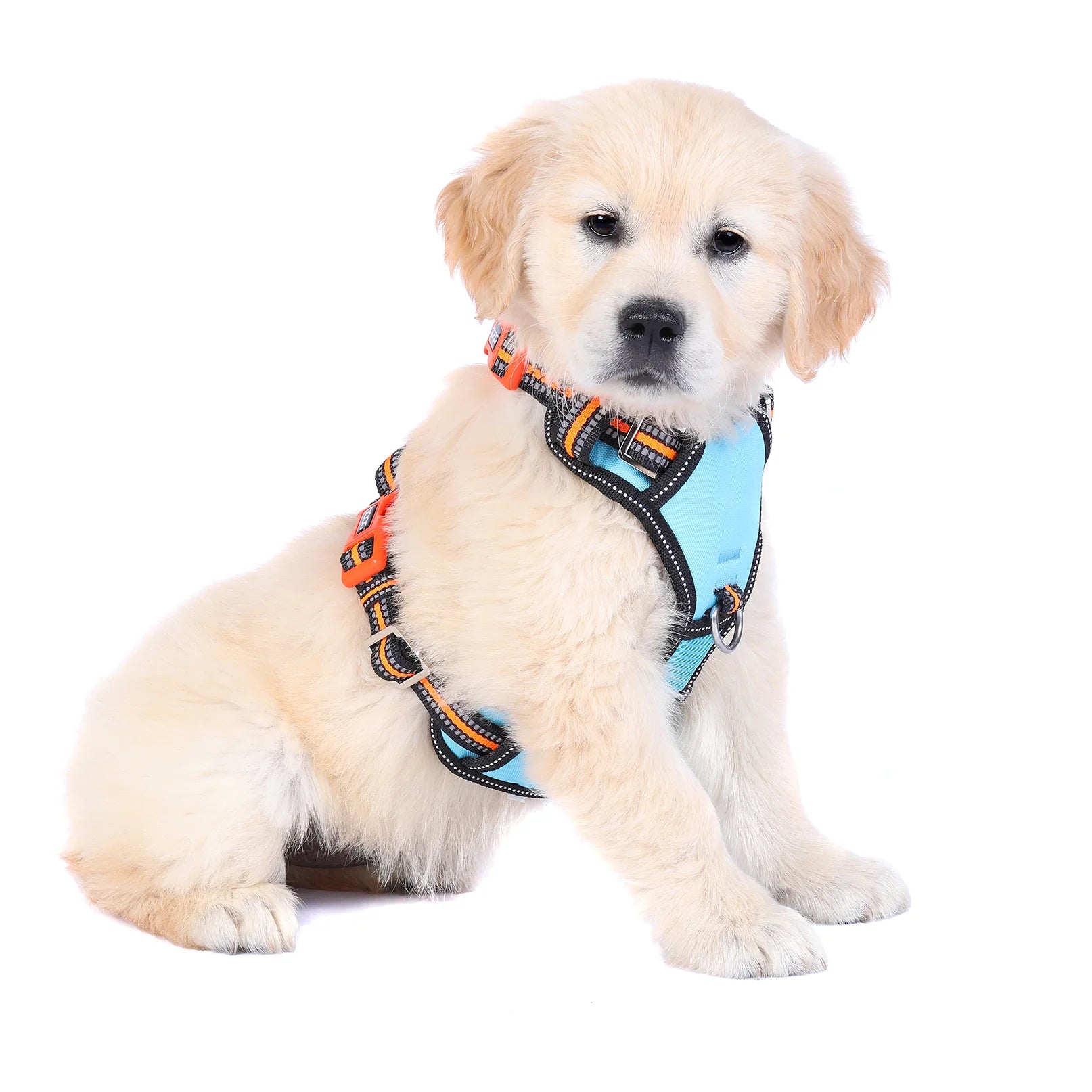 DOOG Neotech Heavy Duty Dog Harness Beethoven