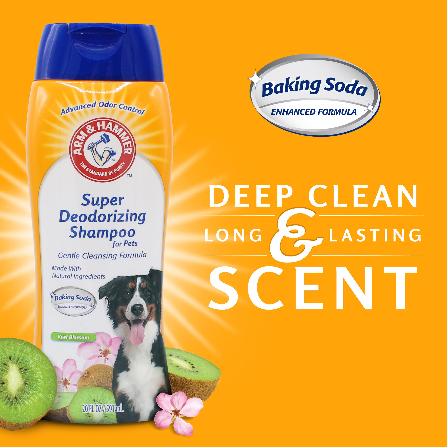 Arm & Hammer Super Deordorizing Shampoo 591ml