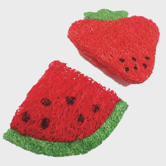 Loofah Strawberry and Watermelon Slice