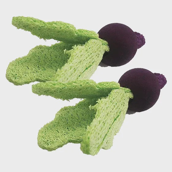 Loofah Turnips 10cm