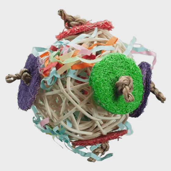 Circle Chaser Toy 9cm