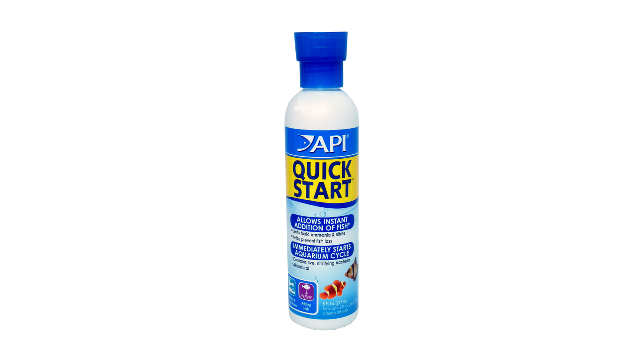 API Quick Start