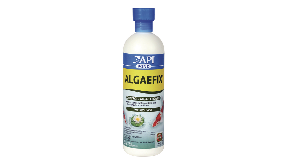 Api Pond Algaefix