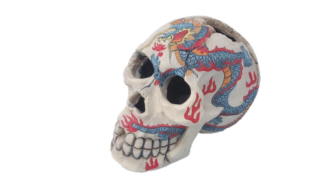 Skull painted 15cm