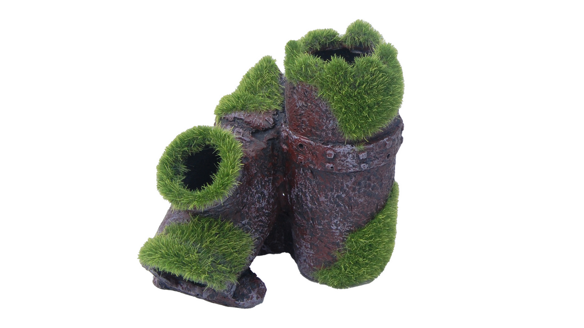 Sewer pipes with moss