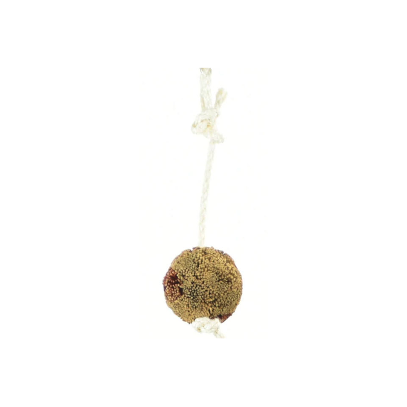 Bristle Ball