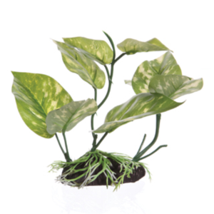 FL Lizards Tail With Base 17cm