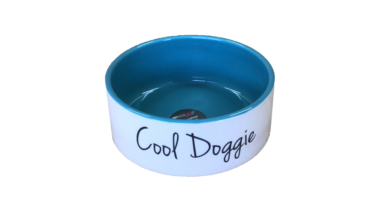 Cool Doggie Bowl Natural/Teal 15cm*