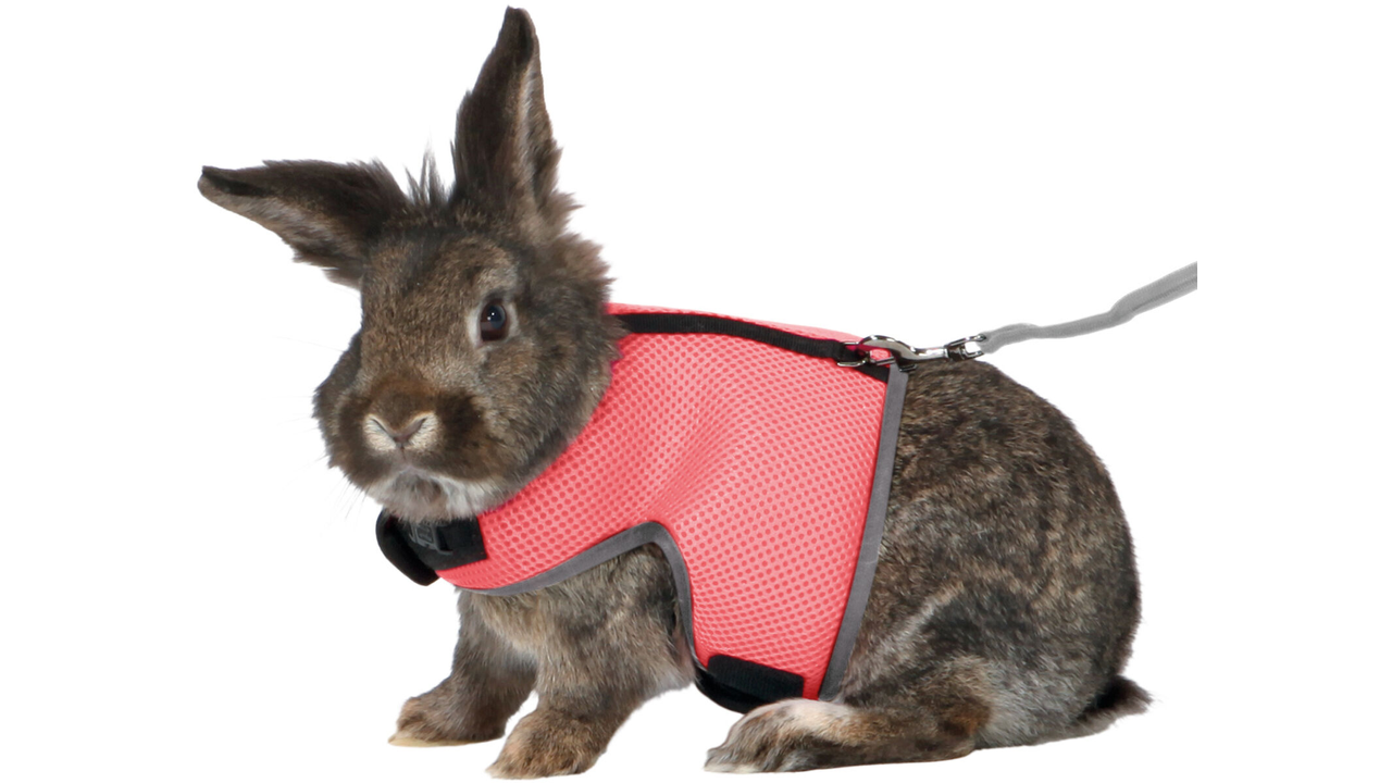 Trixie Soft Harness Rabbit Large