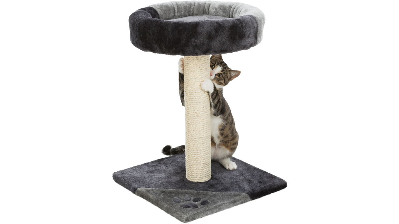 Trixie Tarifa Cat Scratcher