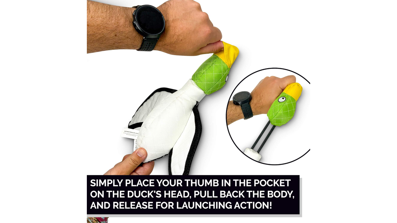 Hyper Pet Flying Duck