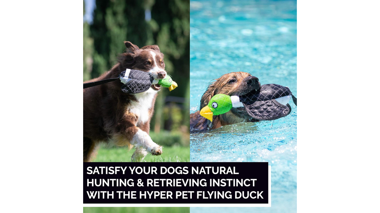Hyper Pet Flying Duck