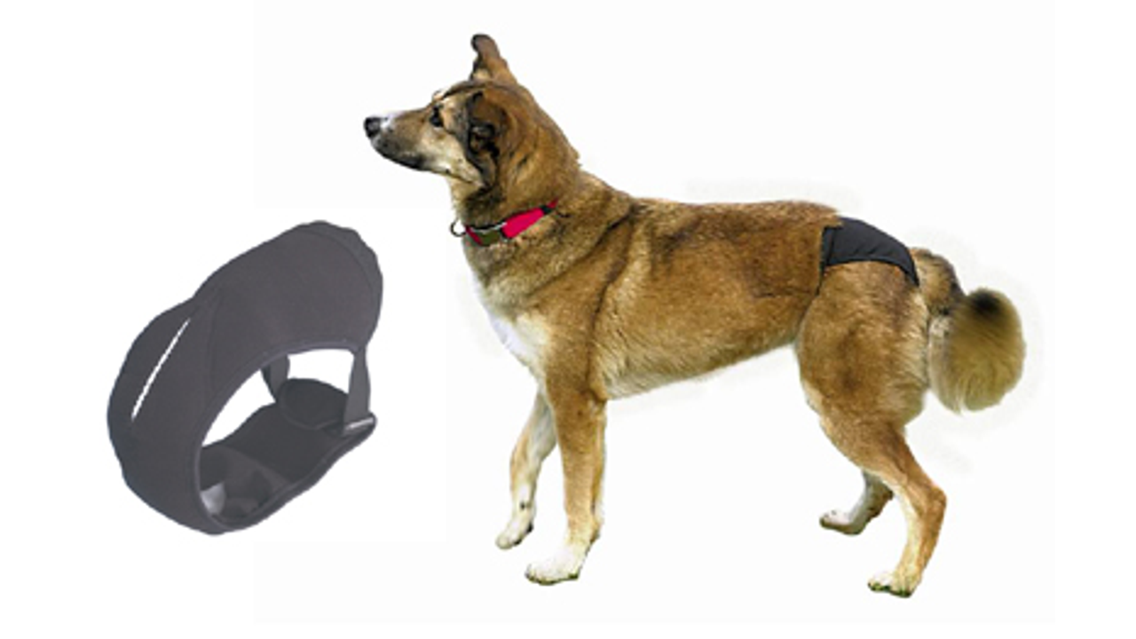 Trixie Replacement Pads for Dog Pants L-XL 10pk