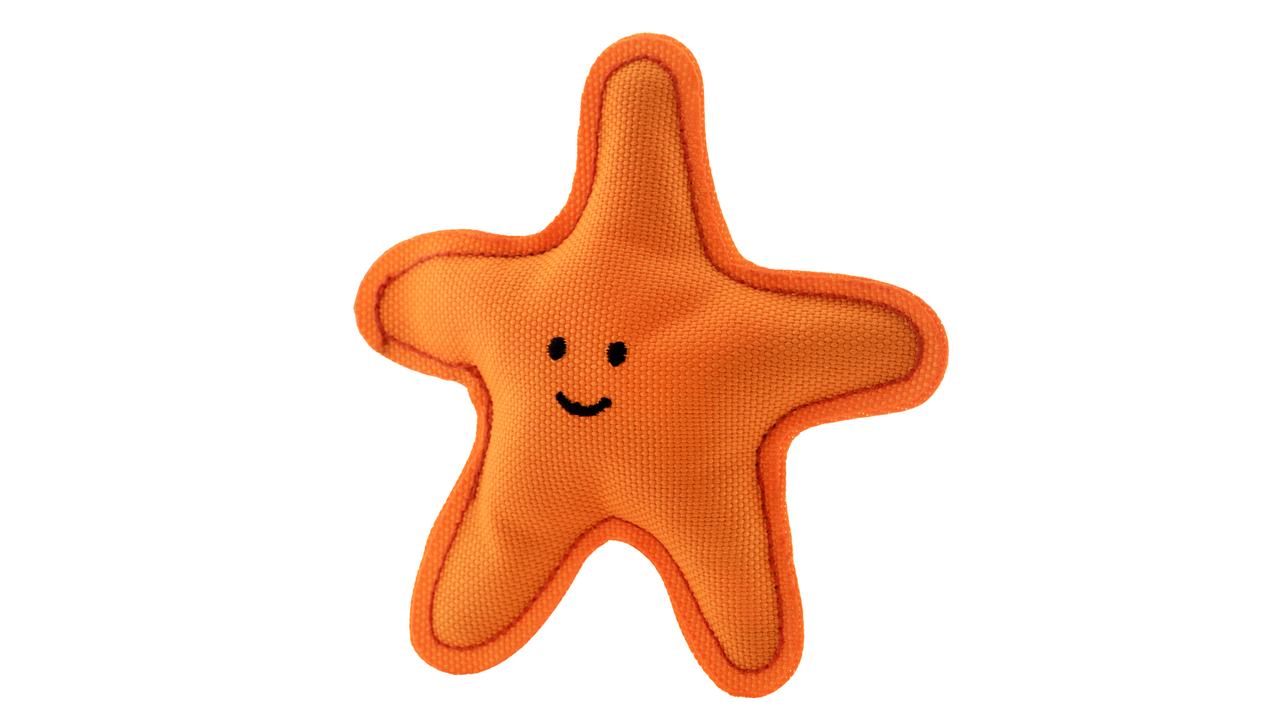 Beco Catnip Starfish