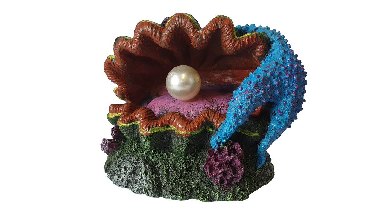 Oyster Shell with Pearl