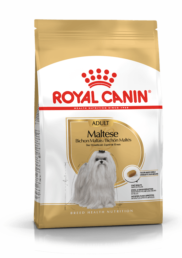 Royal Canin Maltese Adult