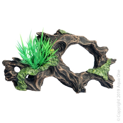 Aqua One Driftwood with Plant