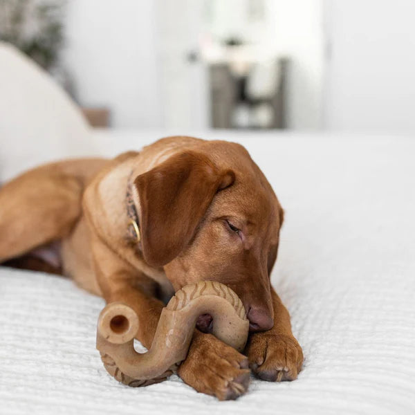 Benebone Tripe Bone Large