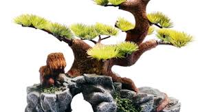 Bonsai Large