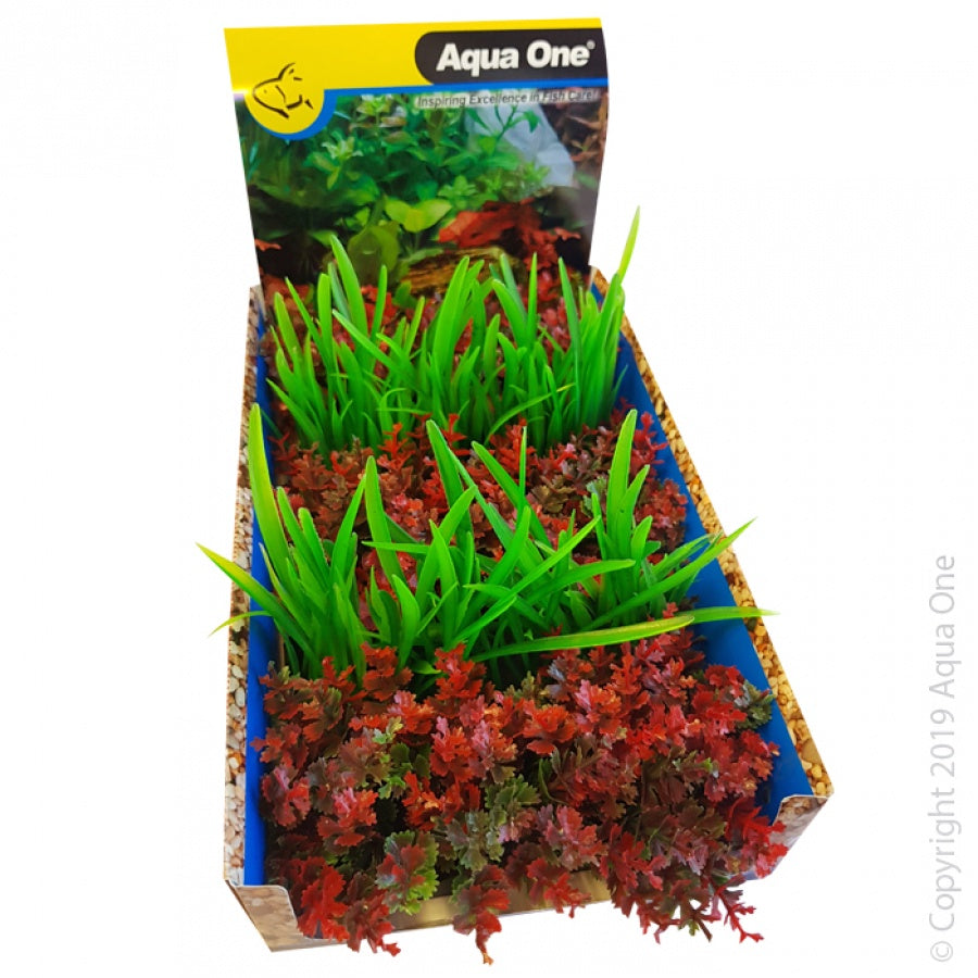 Ecoscape Foreground Catspaw R/lilaeopsis GN Mix