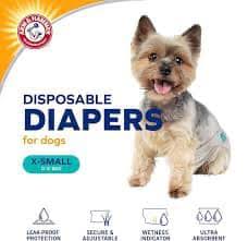 Arm & Hammer Xsm Diapers-12" -15" Waist - 12 Pack