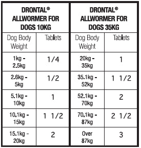 Drontal All Wormer Dog
