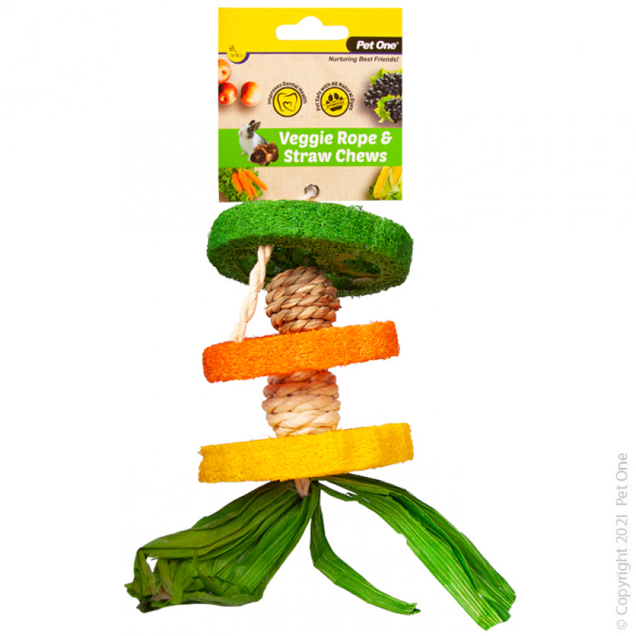 Pet One Veggie Rope & Straw Hanging Hula