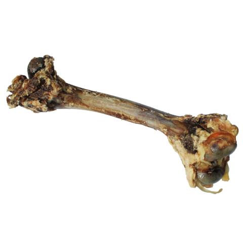 Venison Clod Bone - Large