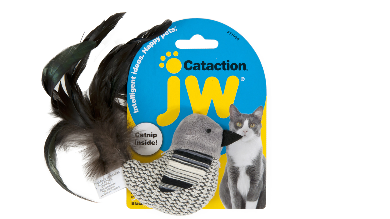 JW Cataction Bird
