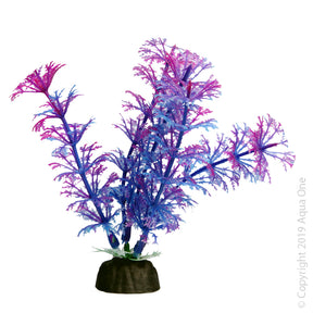 Aqua One Bettascape Betta Ambulia Purple