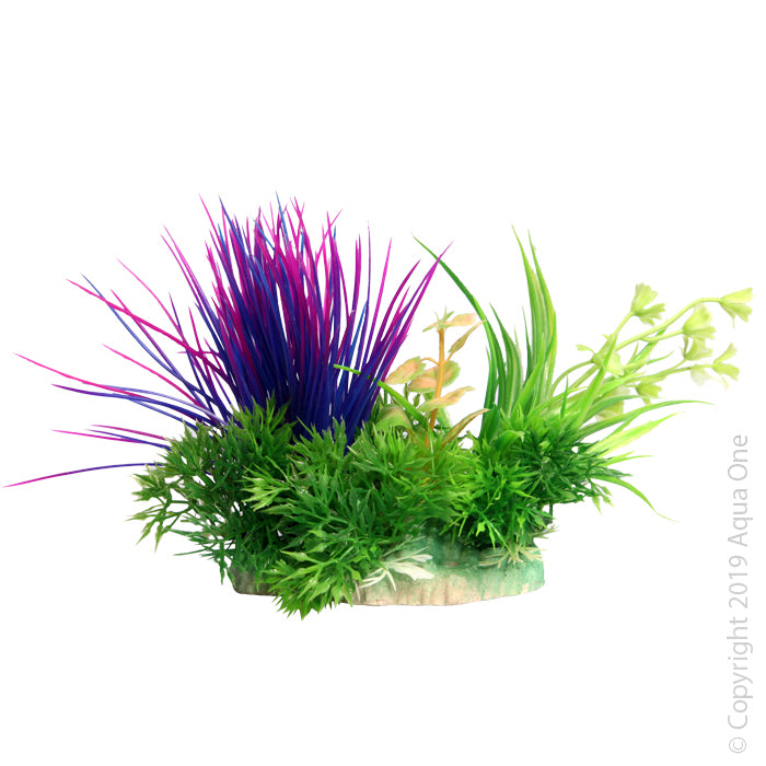 Aqua One Ecoscape Small Blyxa Purple