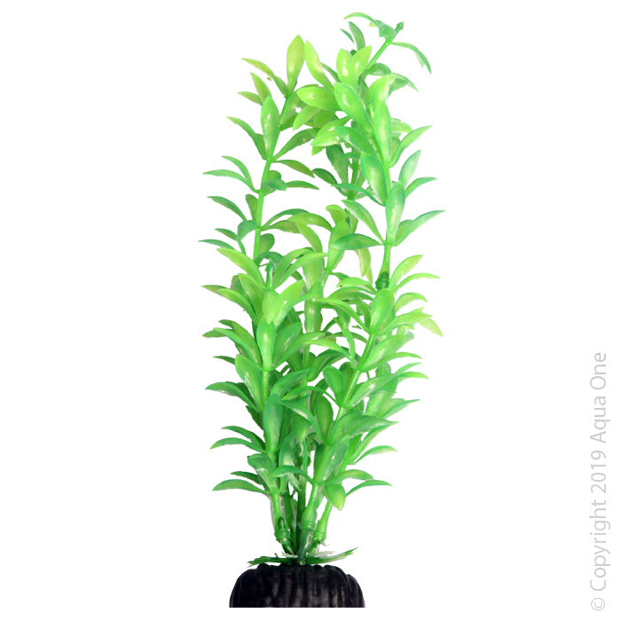 Aqua One Ecoscape Medium Ludwigia Green