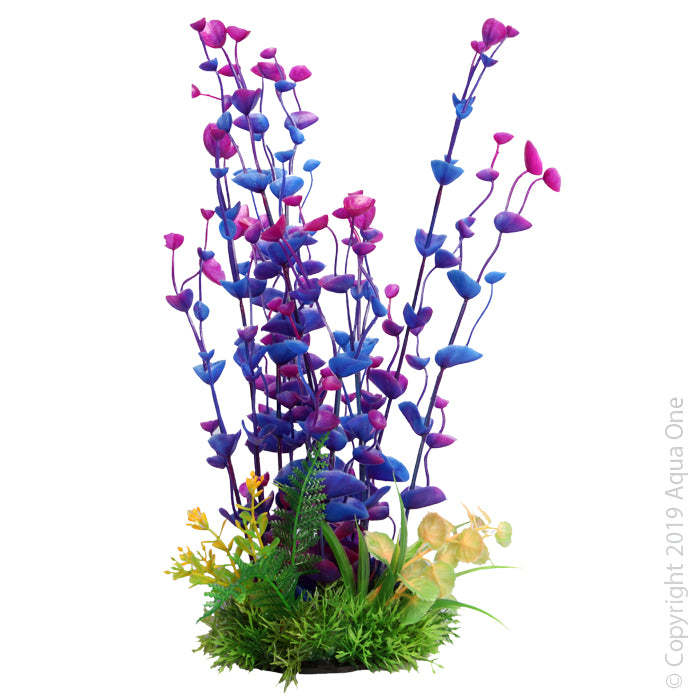 Aqua One Ecoscape Large Ogris Auribus Purple
